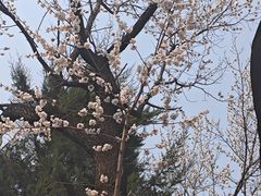 -吉林大学(南岭校区)