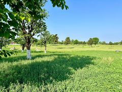 -汉长安城未央宫国家考古遗址公园