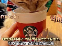 -星巴克(天津鲁能中心第三店)
