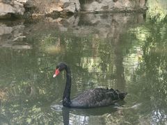 -西苑公园