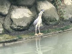 -苏州河梦清园环保主题公园