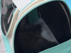 -四月宠物医院·猫专科·心脏专科·内科(转塘店)