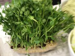 -常赢三兄弟·清真涮肉·清真炒菜(朝阳新城店)
