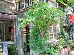 -两棵枇杷树