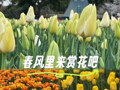 -无锡梅园公园