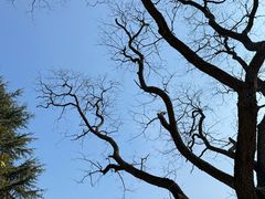 -艾山风景名胜区