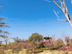 -狼山风景名胜区