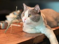 -后院儿·精酿·塔罗Happy Bar