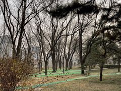 -玲珑塔公园