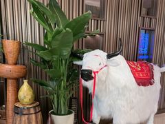 -杭州君悦酒店·青莳