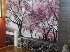 -呷哺呷哺(宝山正大乐城店)
