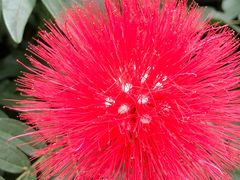 -红色娘子军纪念园