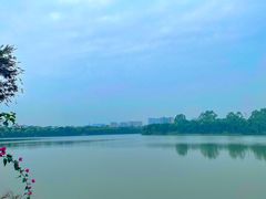 -麦当劳(东坑店)