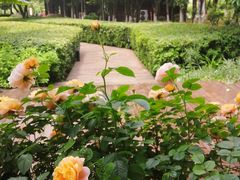 -艾溪湖湿地公园