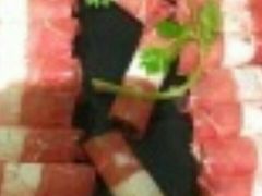 -七欣天香辣蟹火锅(苏州塔园路店)