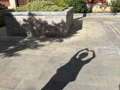 -丽江金茂凯悦臻选酒店-滇香馆