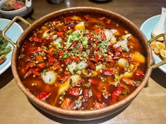 -向川南·水煮鱼·川菜(和平里店)