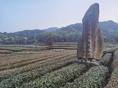 -听风阁农家私房菜茶楼(龙坞店)