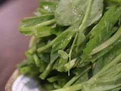 -德来順老北京 涮羊肉 烤羊排(大学城店)