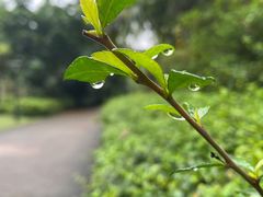 -白沙门生态公园