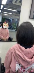 -蚂蚁造型俱乐部
