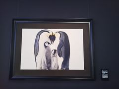 -罗红摄影艺术馆