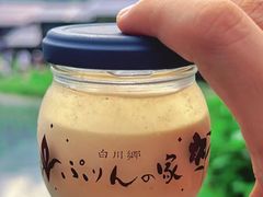 -白川乡与五箇山的合掌构造村落