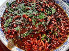 杨记招牌鱼-杨记隆府(白象街店)