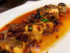 豆豉蒸多宝鱼-有璟阁港式餐厅(国贸商城店)