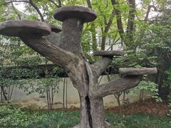 -汇龙潭