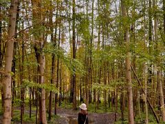 -桤木河湿地公园