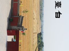 -白台寺