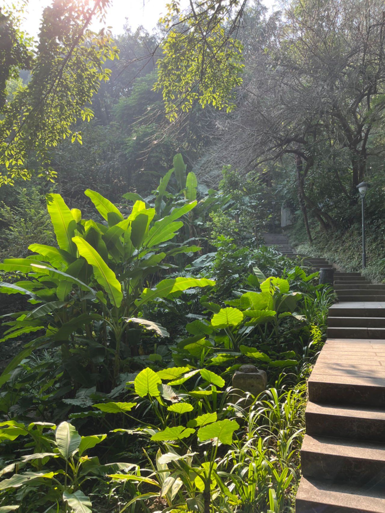 里面有天马山钟塔,净慈寺等,到了山顶可以看到整个龙岩市区视野很好