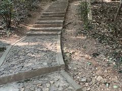 -上海佘山国家森林公园天马山园