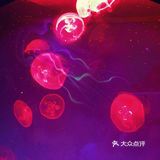 只有企鹅和水母和几个小鱼 海星不能手摸