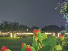 -良成狗狗乐园