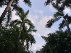 -广州长隆野生动物世界