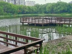 -新江湾城公园