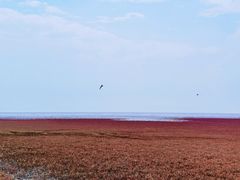-红海滩国家风景廊道