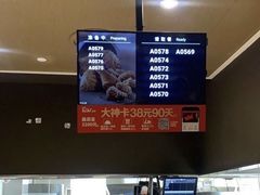 -肯德基(东安路站店)
