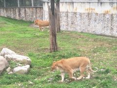 -西安秦岭野生动物园