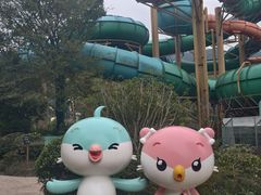 -杭州开元森泊度假乐园