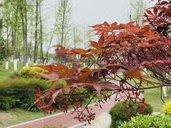 -府河摄影公园