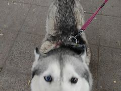 -墨尔本皇家植物园