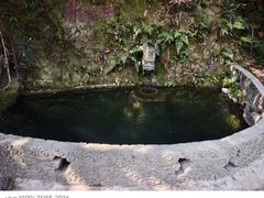 -十八棵（老龙井）御茶园(老龙井店)