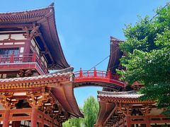 -西安青龙寺遗址景区