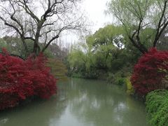-上海醉白池公园