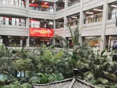 -黑龙江中医药大学附属第一医院