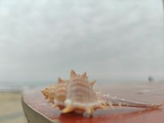 -万尾金滩