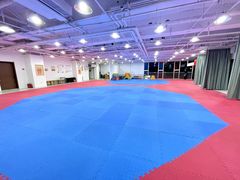 -陈中跆拳道(中关村馆)